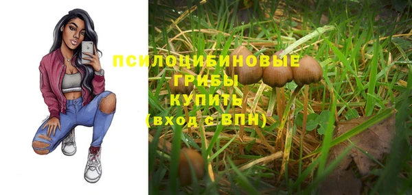 а пвп мука Наволоки